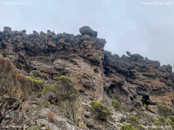 ������������ 2023. �������. ����� ���������, ���� 68