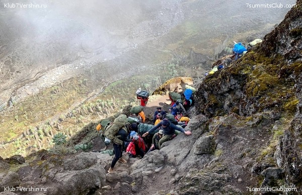 ������������ 2023. �������. ����� ���������, ���� 14