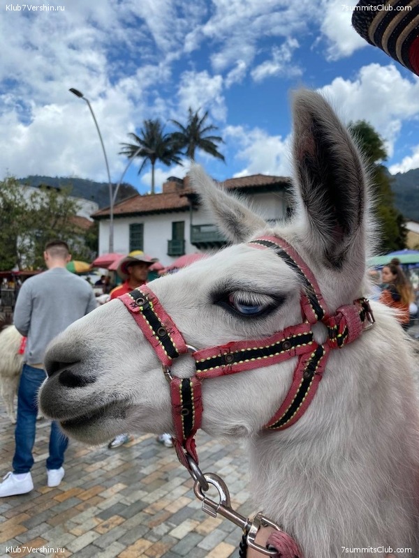 �������� 2023, �������. ����� ������, ���� 105