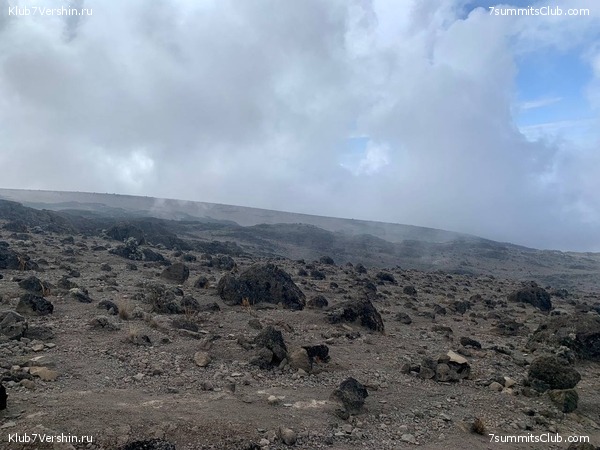 ������������ 2023. �������. ����� ���������, ���� 105