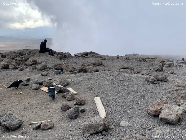 ������������ 2023. �������. ����� ���������, ���� 114