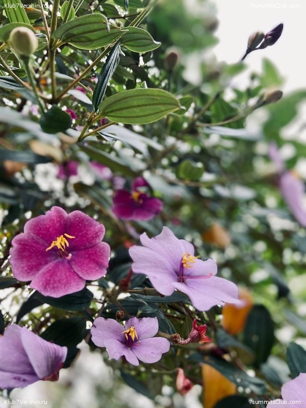 �������� 2023, �������. ����� ������, ���� 122