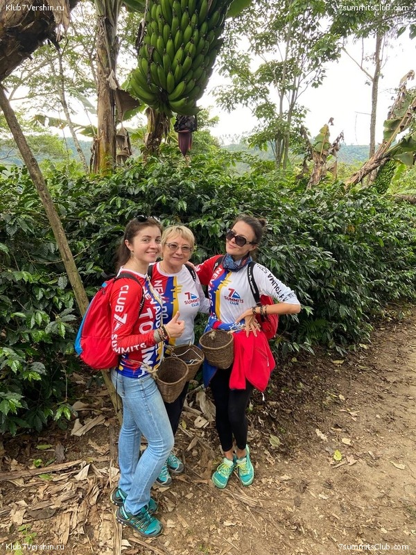 �������� 2023, �������. ����� ������, ���� 127