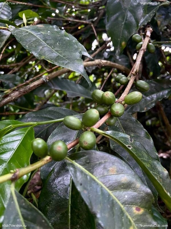 �������� 2023, �������. ����� ������, ���� 128