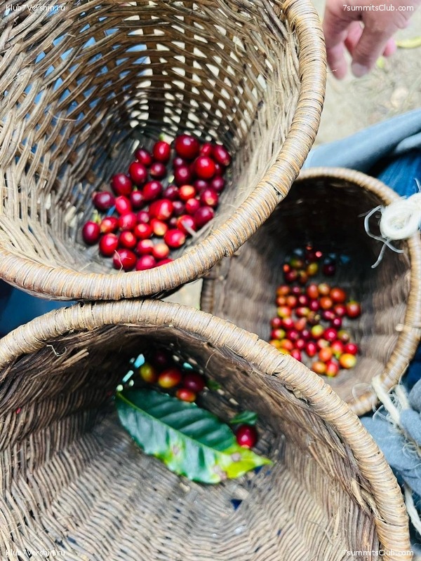 �������� 2023, �������. ����� ������, ���� 130