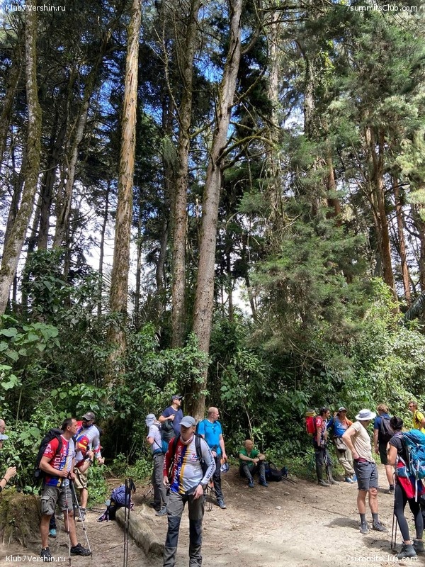 �������� 2023, �������. ����� ������, ���� 136