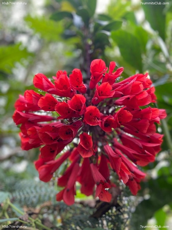 �������� 2023, �������. ����� ������, ���� 139