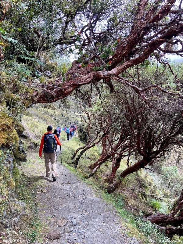 �������� 2023, �������. ����� ������, ���� 150