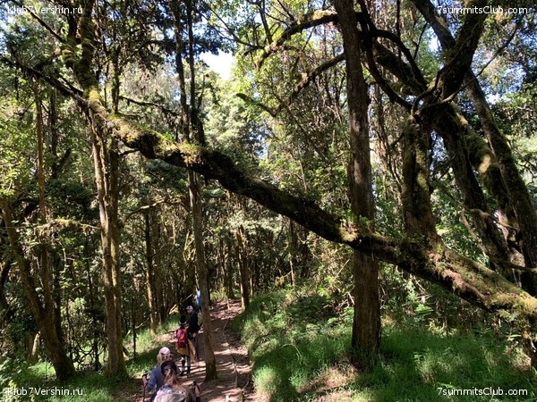 ������������ 2023. �������. ����� ���������, ���� 118