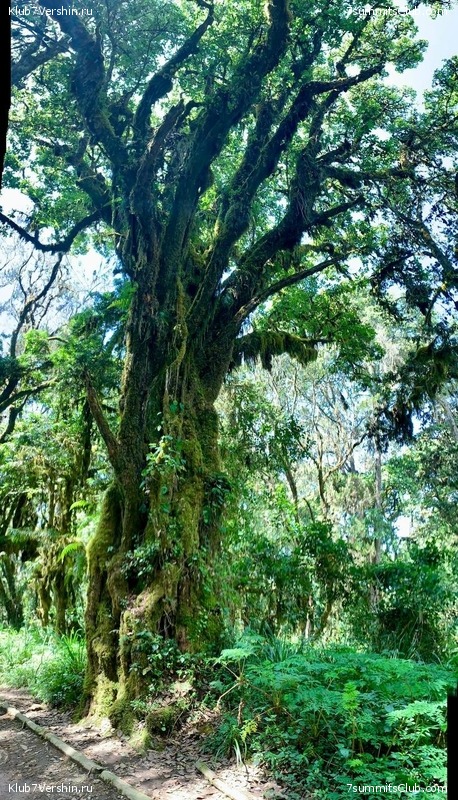 ������������ 2023. �������. ����� ���������, ���� 127