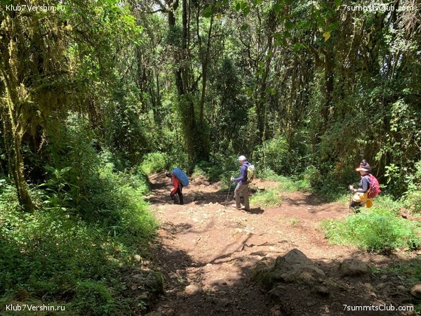 ������������ 2023. �������. ����� ���������, ���� 119