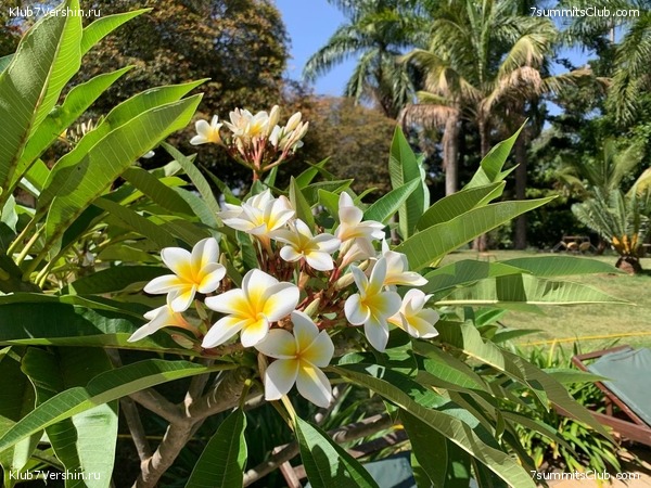 ������������ 2023. �������. ����� ���������, ���� 123