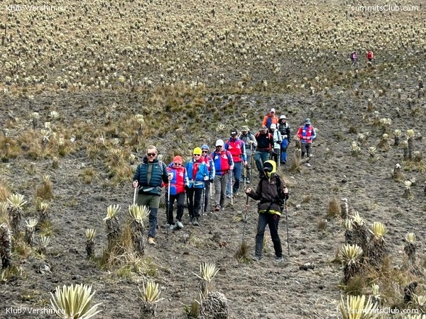 �������� 2023, �������. ����� ������, ���� 50