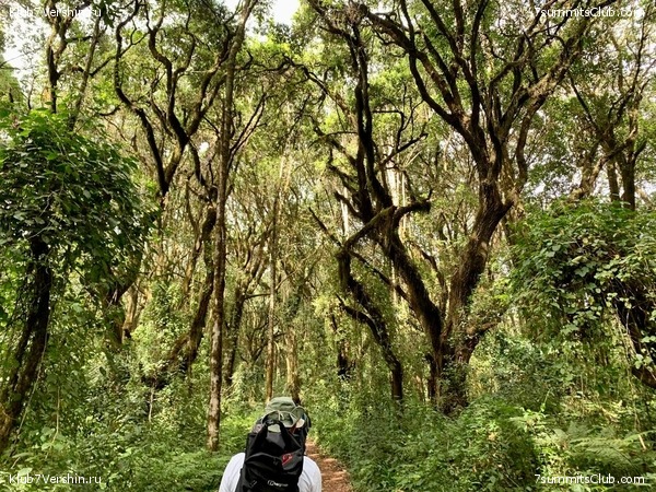 ������������ 2023. �������. ����� ���������. ������ ������, ���� 42