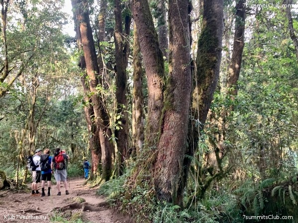 ������������ 2023. �������. ����� ���������. ������ ������, ���� 37