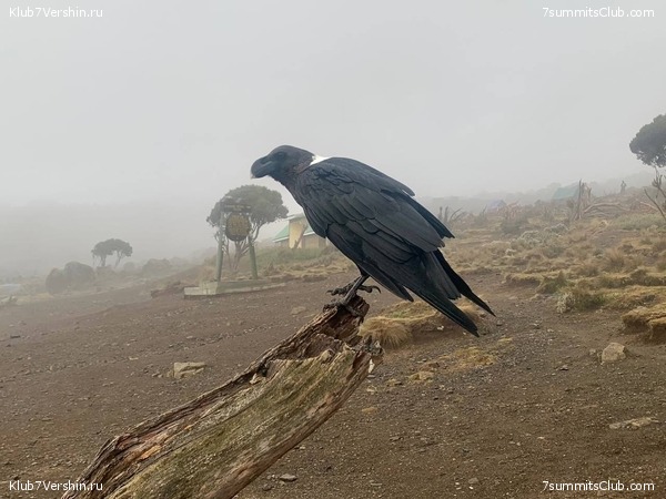 ������������ 2023. �������. ����� ���������. ������ ������, ���� 45