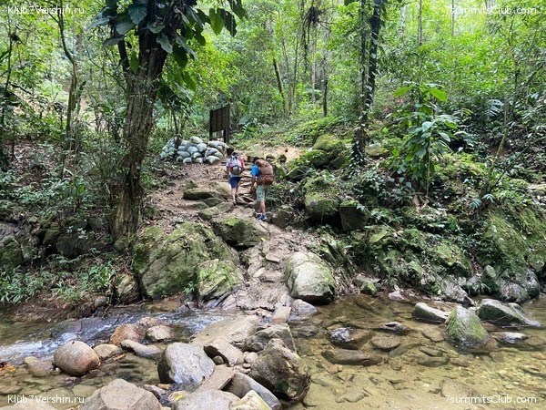 �������� 2023, �������. ����� ������, ���� 65