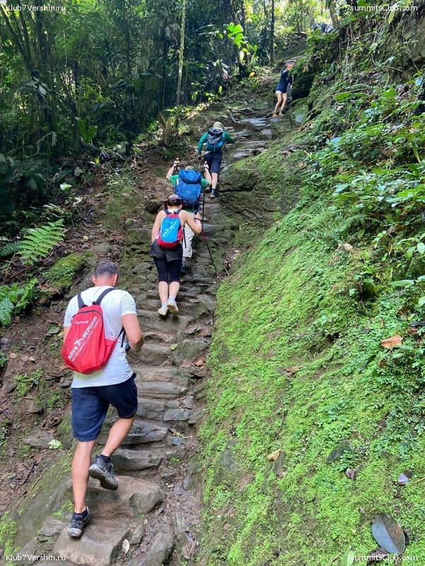 �������� 2023, �������. ����� ������, ���� 183