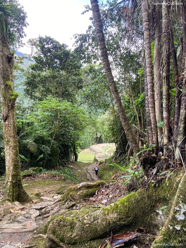 �������� 2023, �������. ����� ������, ���� 184