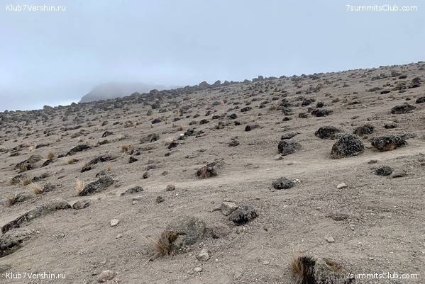 ������������ 2023. �������. ����� ���������. ������ ������, ���� 18