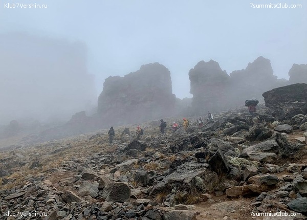 ������������ 2023. �������. ����� ���������. ������ ������, ���� 31