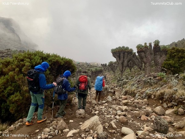 ������������ 2023. �������. ����� ���������. ������ ������, ���� 50