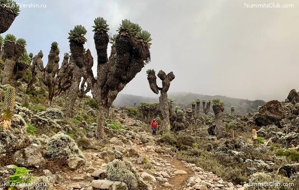 ������������ 2023. �������. ����� ���������. ������ ������, ���� 9