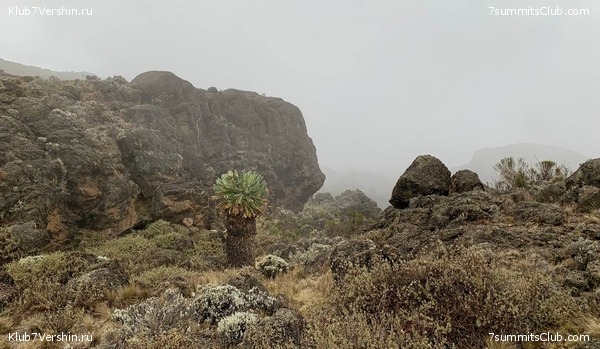 ������������ 2023. �������. ����� ���������. ������ ������, ���� 4