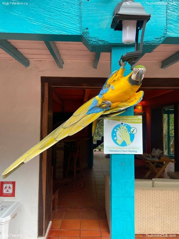 �������� 2023, �������. ����� ������, ���� 194