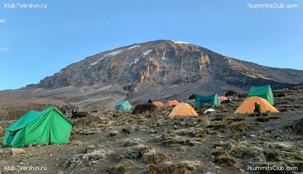 ������������ 2023. �������. ����� ���������. ������ ������, ���� 2