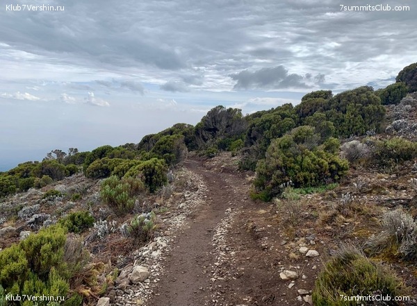 ������������ 2023. �������. ����� ���������. ������ ������, ���� 36