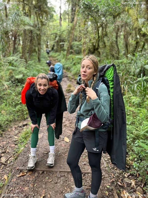 ������������ 2023. �������. �. ���������. ������ �������, ���� 44