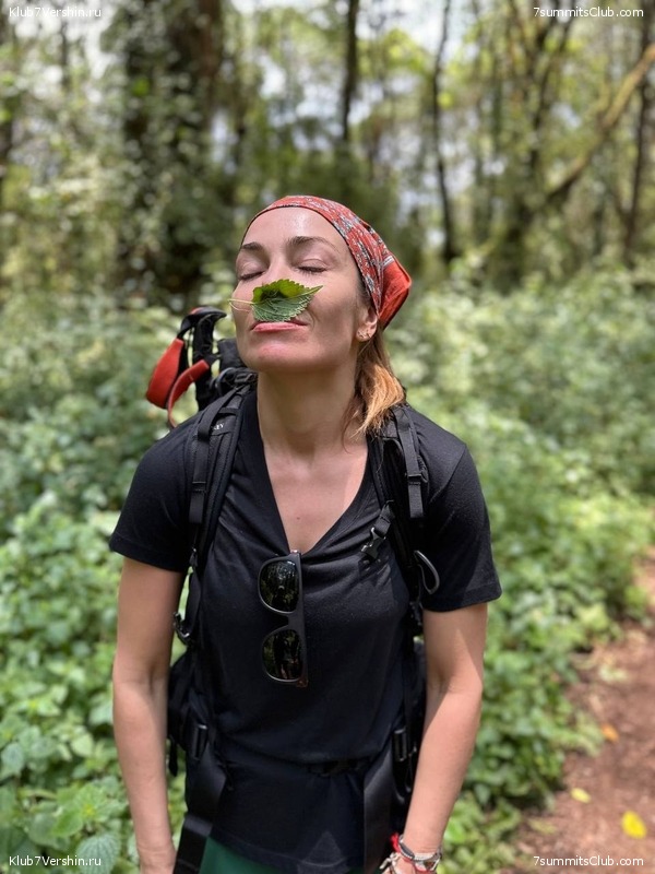 ������������ 2023. �������. �. ���������. ������ �������, ���� 46