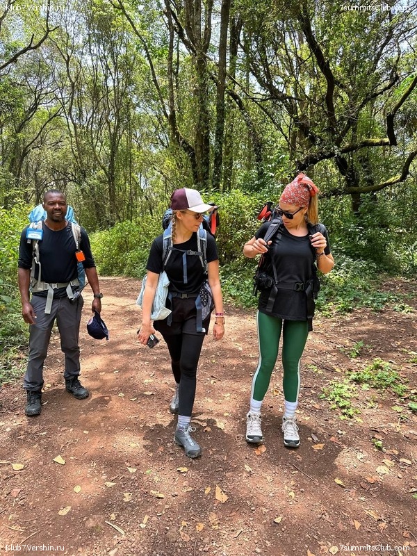 ������������ 2023. �������. �. ���������. ������ �������, ���� 47