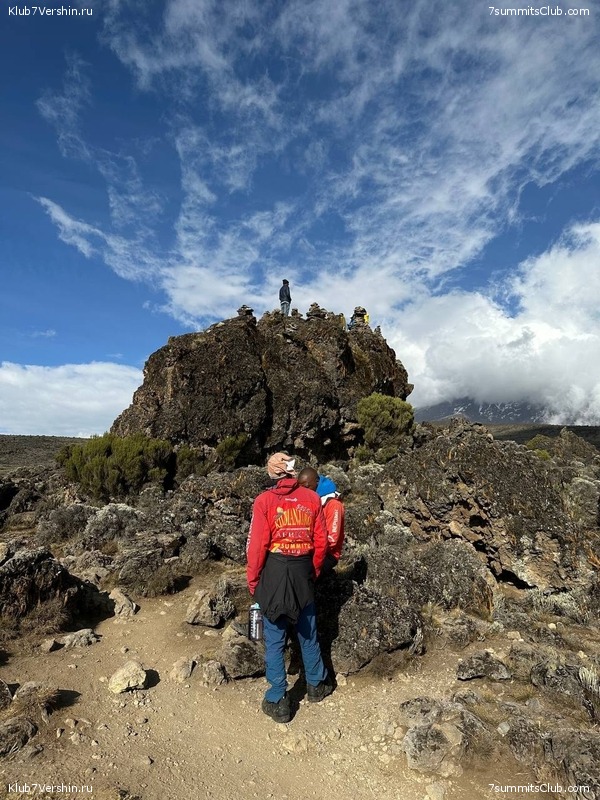 ������������ 2023. �������. �. ���������. ������ �������, ���� 49