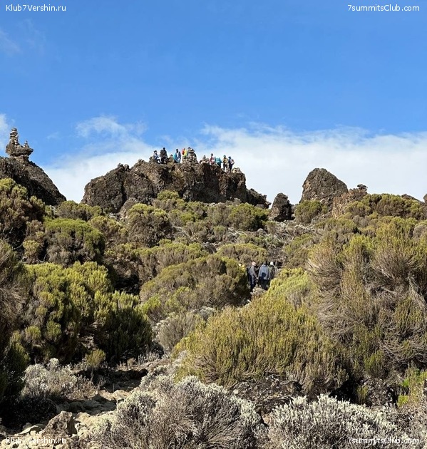 ������������ 2023. �������. �. ���������. ������ �������, ���� 25