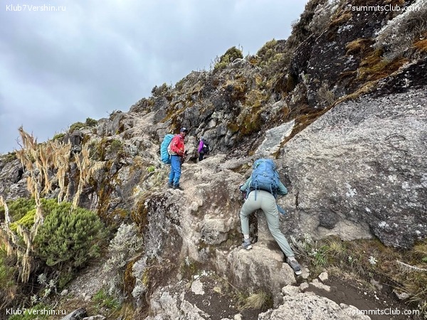 ������������ 2023. �������. �. ���������. ������ �������, ���� 15