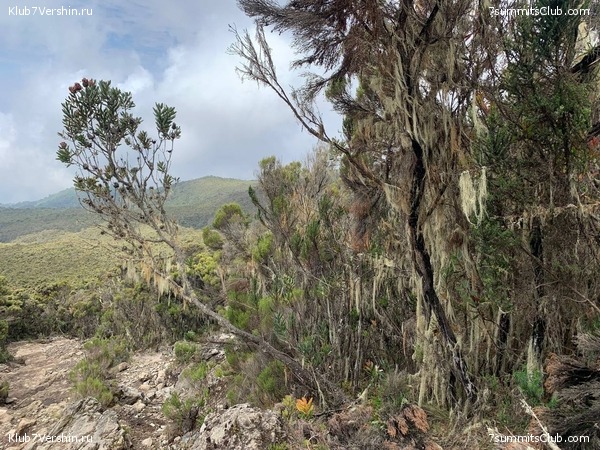 ������������ 2023. �������. ����� ���������. ������ ������, ���� 75