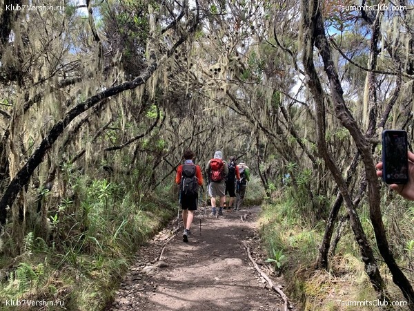 ������������ 2023. �������. ����� ���������. ������ ������, ���� 76