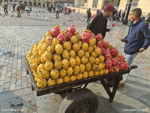 ��������, ���� 4