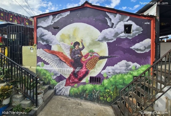 ��������, ���� 3