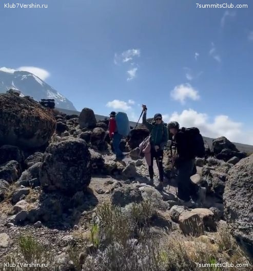 ������������ 2023. �������. �. ���������. ������ �������, ���� 26