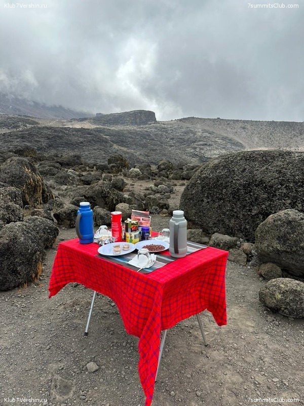 ������������ 2023. �������. �. ���������. ������ �������, ���� 52