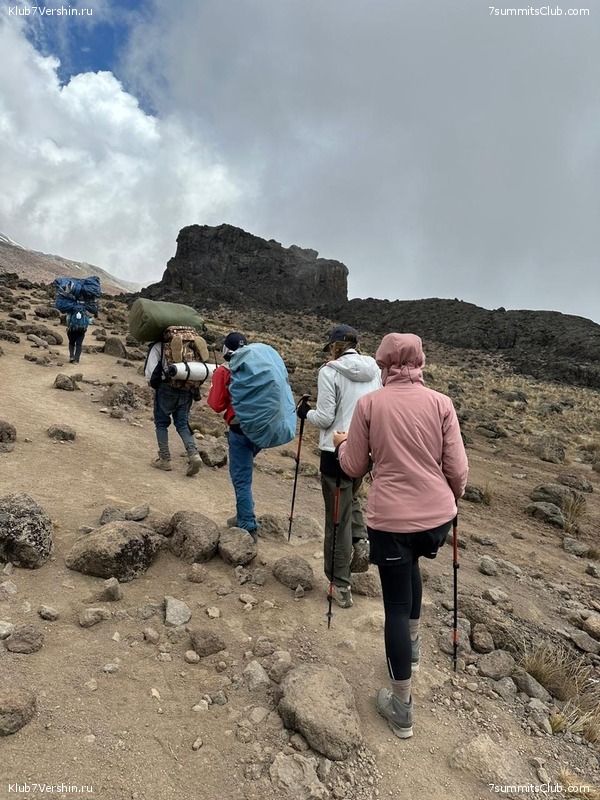 ������������ 2023. �������. �. ���������. ������ �������, ���� 54