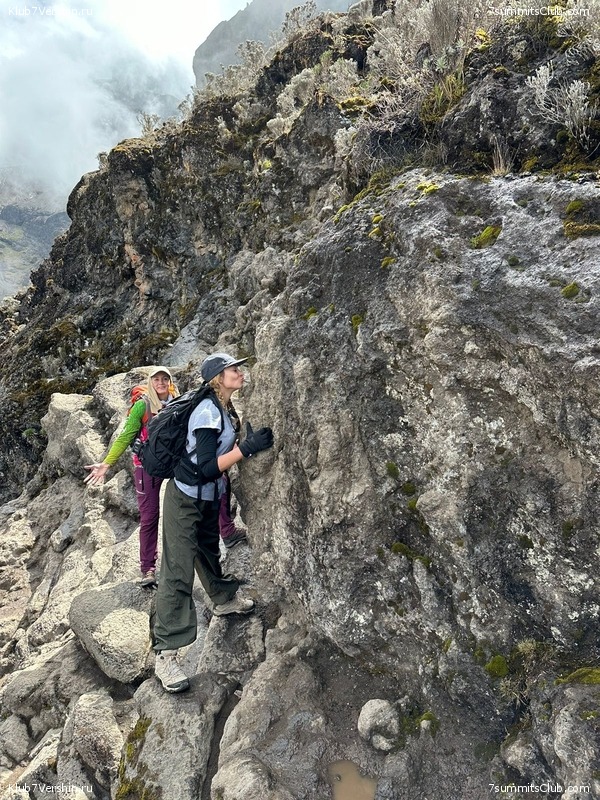 ������������ 2023. �������. �. ���������. ������ �������, ���� 59