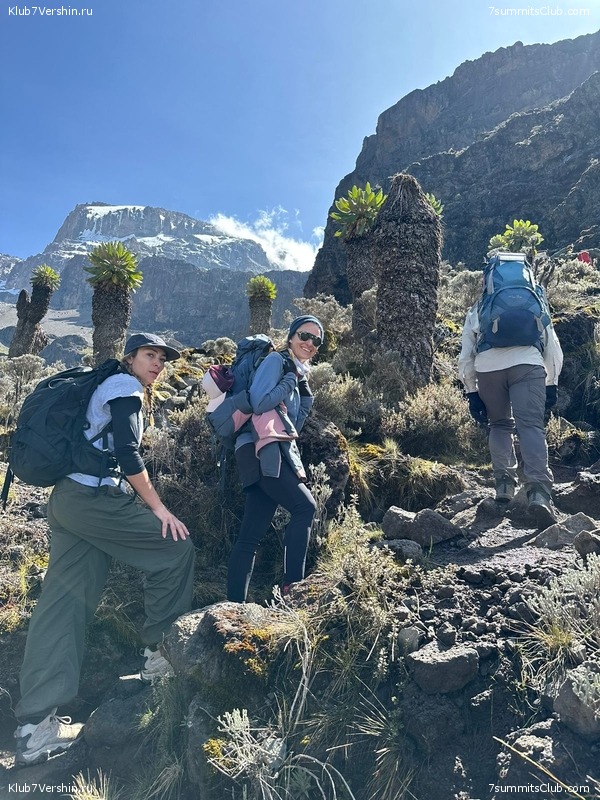 ������������ 2023. �������. �. ���������. ������ �������, ���� 60