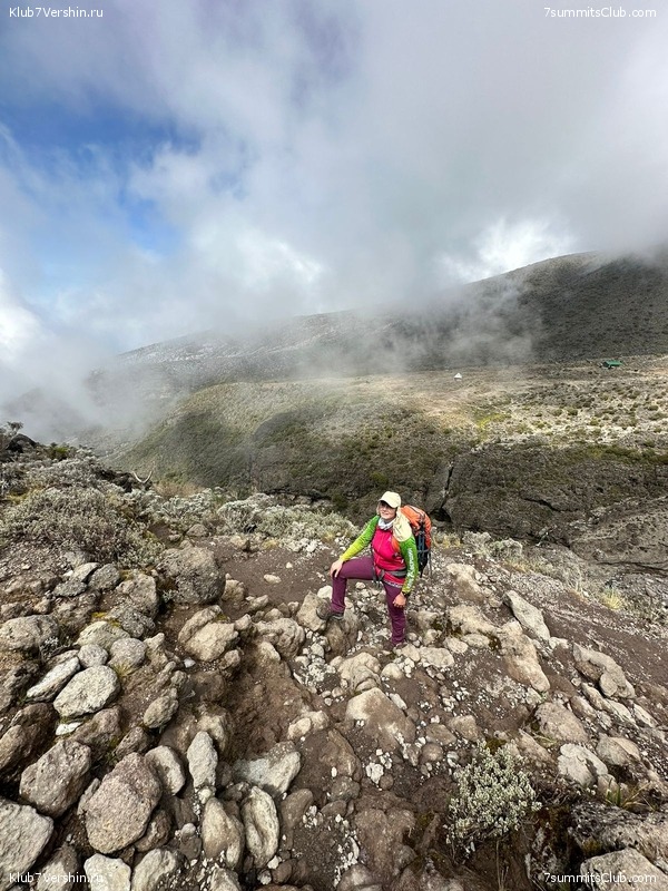 ������������ 2023. �������. �. ���������. ������ �������, ���� 61