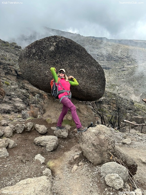 ������������ 2023. �������. �. ���������. ������ �������, ���� 63