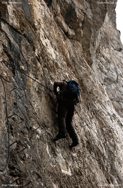 �������� ���� � ����� 2023 ���, ���� 79