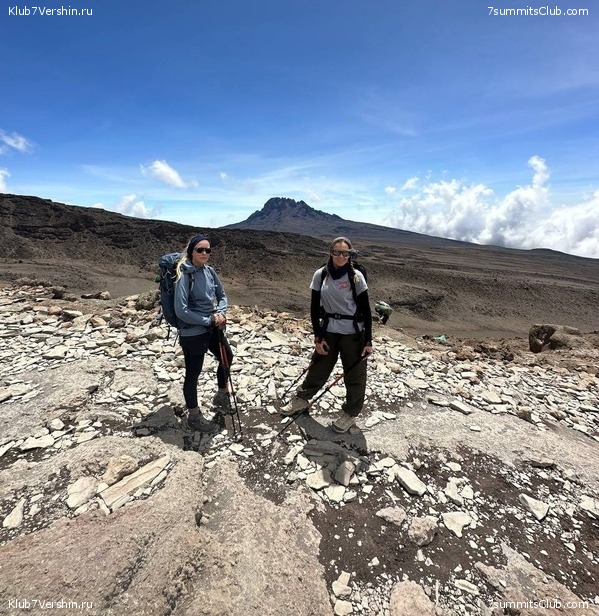 ������������ 2023. �������. �. ���������. ������ �������, ���� 22